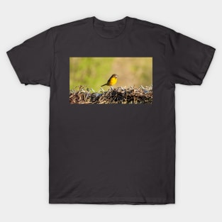 Oriole Perched On My Backyard Fence T-Shirt